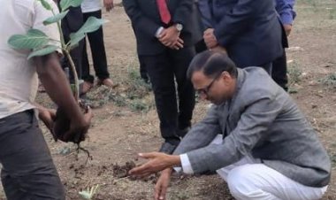 वृक्षरोपण व संवर्धन ही काळाची गरज                                                    -जिल्हा न्यायाधीश एम. बी. लंबे