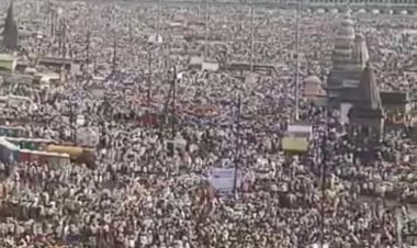 आषाढी देवशयनी एकादशी सोहळ्यासाठी  १४लाख भाविकांनी पंढरी नगरी फुलली