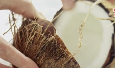 मंदीर परिसरात नारळ फोडण्यास व    शहरात मांस, मटण विक्रीस मनाई