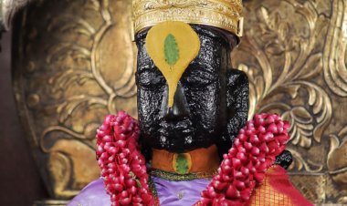 पंढरीत पोलीसंचे पावती वसुलीकडे लक्ष. कसे म्हणावे जनतेसाठी पोलीस अधिकारी कर्तव्य दक्ष.